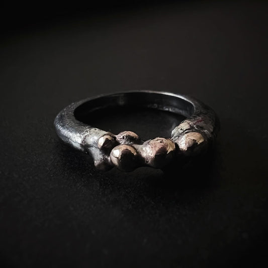 Bronze + Sterling Silver Ring